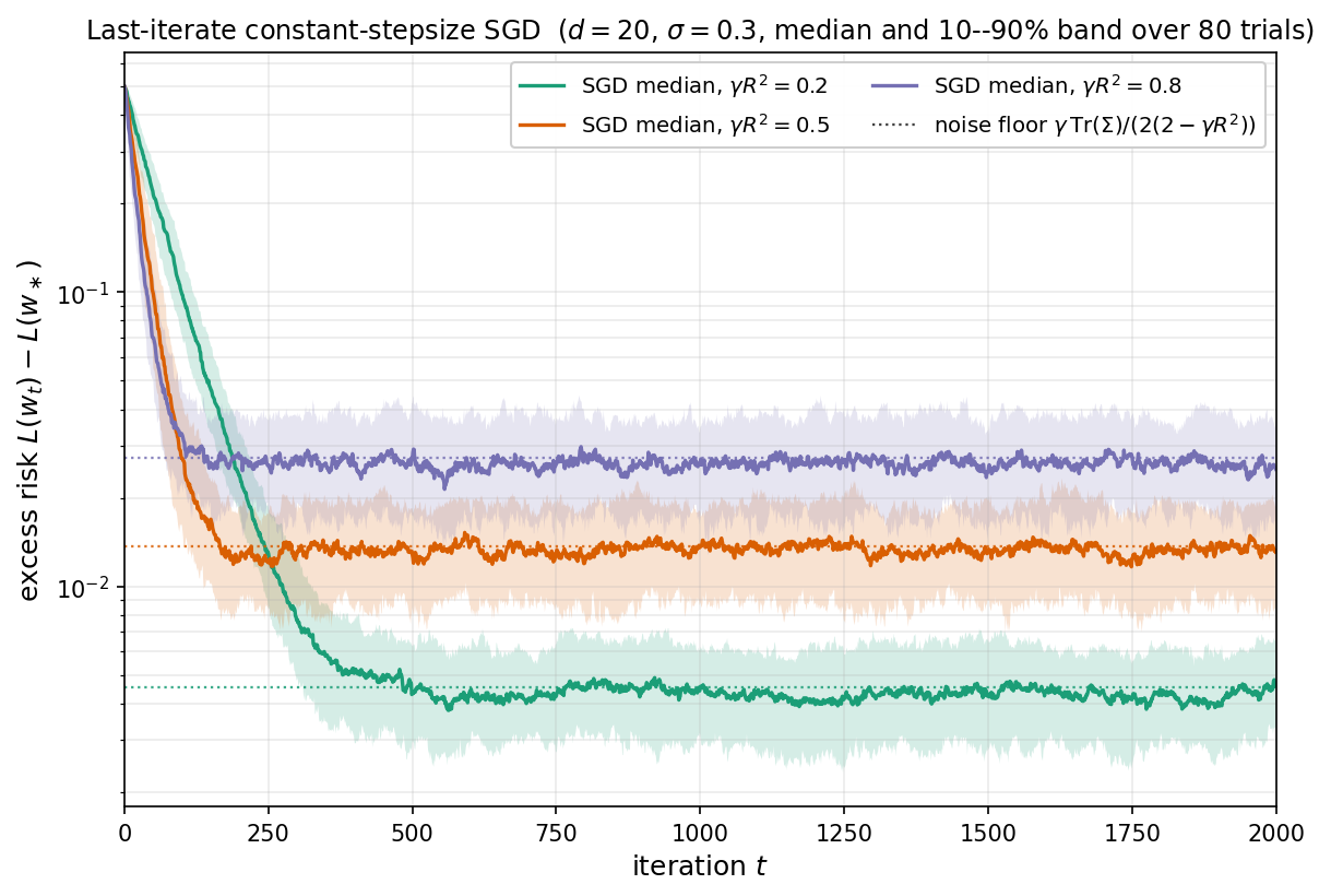 Last-iterate constant-stepsize SGD: exponential contraction to a stepsize-dependent noise floor